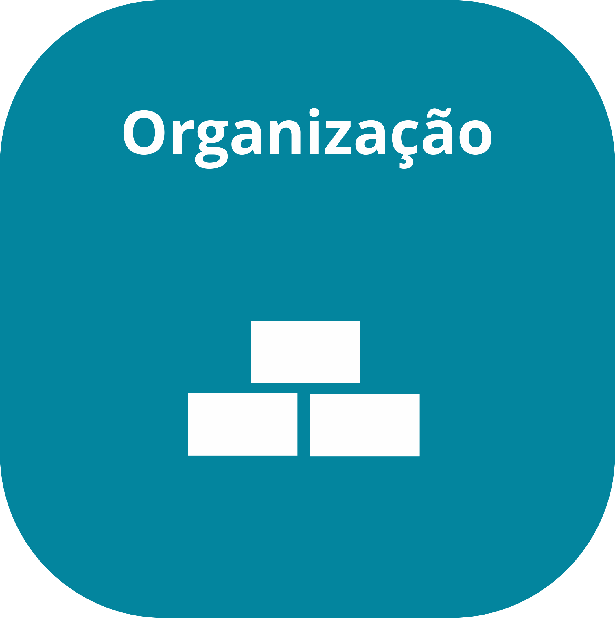 Organização