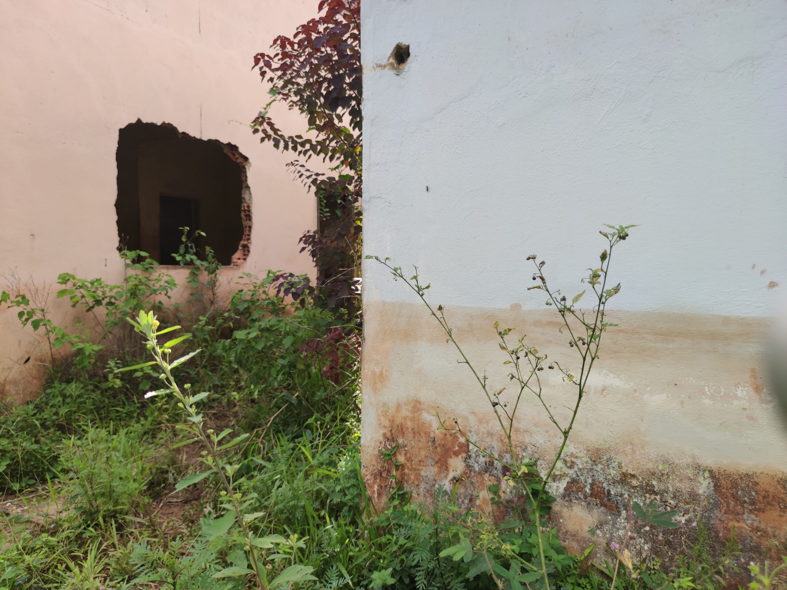 Fotografia colorida de ruínas de uma casa e marcas deixadas pela lama na parede. 