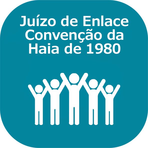 Juízo de Enlace para a Convenção da Haia de 1980