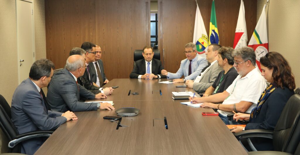 Nesta imagem há um grupo de pessoas sentadas ao redor de uma mesa retangular. 