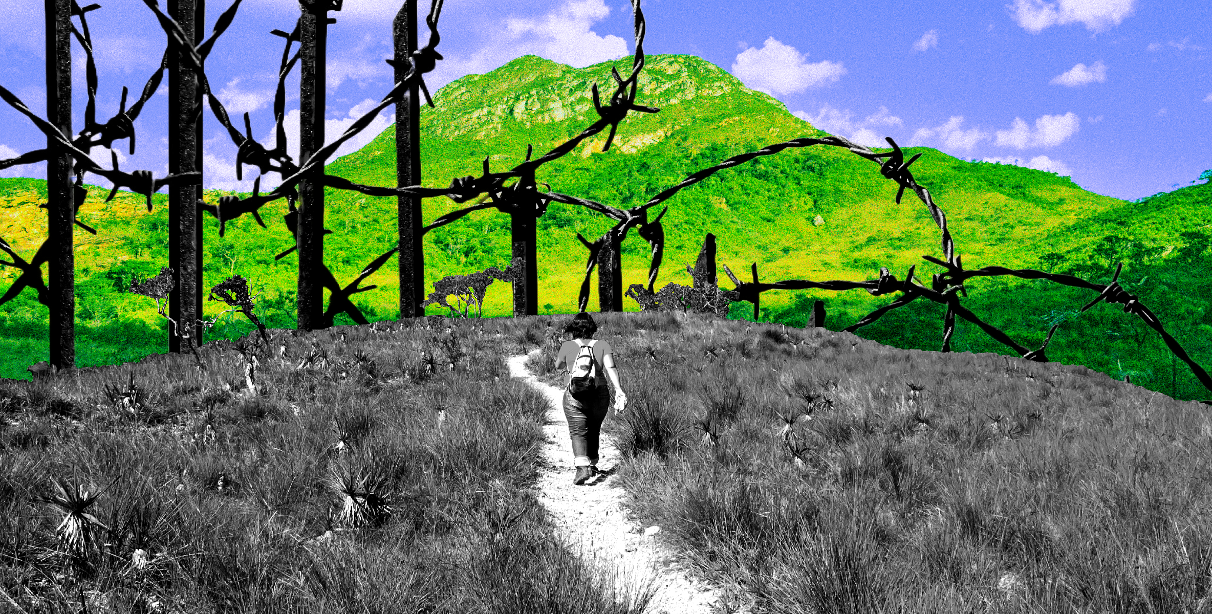 A imagem mostra uma paisagem com elementos naturais e artificiais. No primeiro plano, uma pessoa caminha por um caminho estreito e claro numa área de vegetação rasteira em tons de cinzento. A figura está de costas, a usar calças escuras e uma camisola clara com uma mochila.

No lado esquerdo, uma cerca de arame farpado, em tons de preto, corta a imagem verticalmente, criando uma barreira visual. O plano de fundo apresenta uma montanha verde e exuberante sob um céu azul com nuvens brancas. A composição combina elementos naturais, como a montanha e a vegetação, com elementos artificiais, como a cerca, criando um contraste.