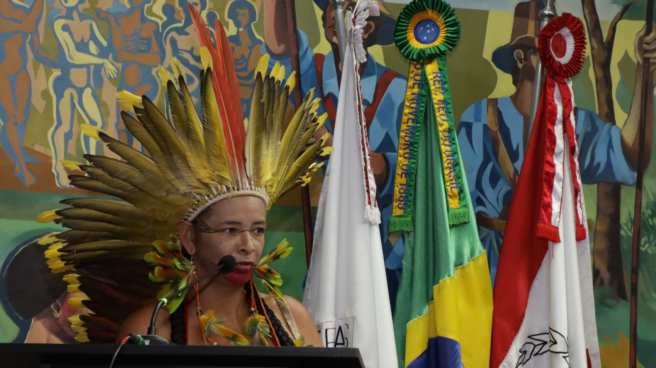 A imagem mostra uma indígena em um púlpito, usando um cocar grande e colorido, com penas vermelhas, amarelas e pretas. Ela tem o cabelo escuro preso e o rosto pintado. A mulher está de perfil, olhando para o lado esquerdo e falando em um microfone. Ao seu lado, é possível ver bandeiras. 