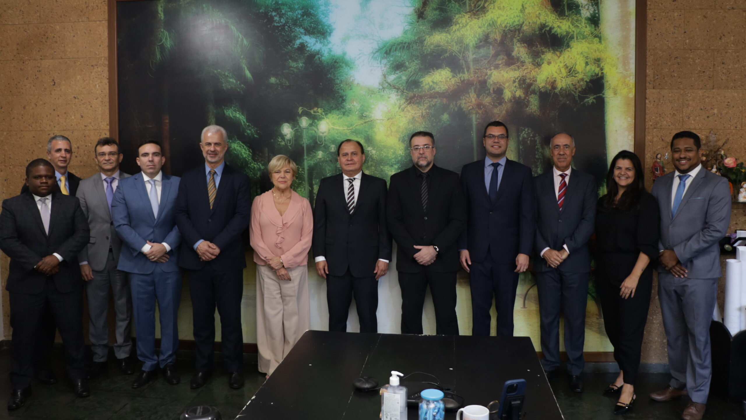 Um grupo de doze pessoas (dez homens e duas mulheres) está posando em pé para uma foto formal atrás de uma mesa escura de reunião. A maioria dos homens veste terno e as mulheres estão de roupas sociais escuras ou claras.

No fundo, há um grande painel que parece ser uma imagem ou pintura de uma paisagem de floresta ou árvores em tons de verde, amarelo e marrom. A mesa no primeiro plano contém alguns objetos, como garrafas de álcool em gel.